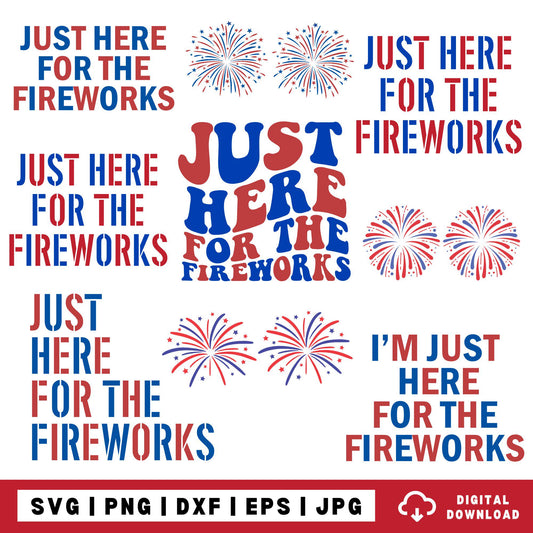 Funny USA Fireworks Couple png, Just Here For The Fireworks svg, Sarcastic Couple png, Adult Humor png, 4th Of July svg png, Fireworks Shirt